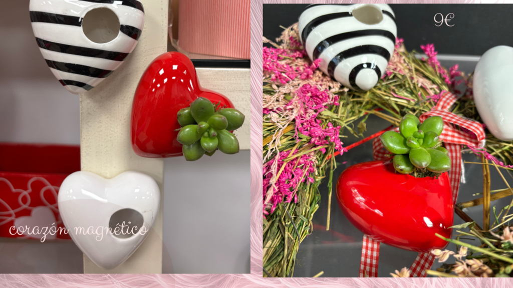 corazon-rojo-eterno-planta-magnetico-san-valentin-lleida