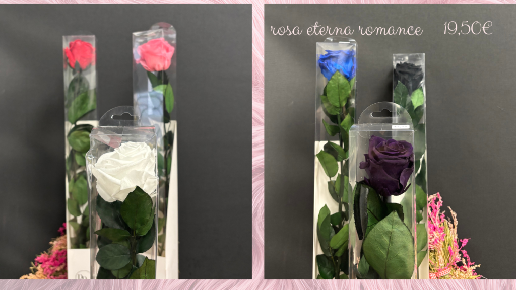 rosas-eterna-romance-calidad-rosas-rojas-negras-azules-moradas-amarilla-blanca-san-valentin-lleida