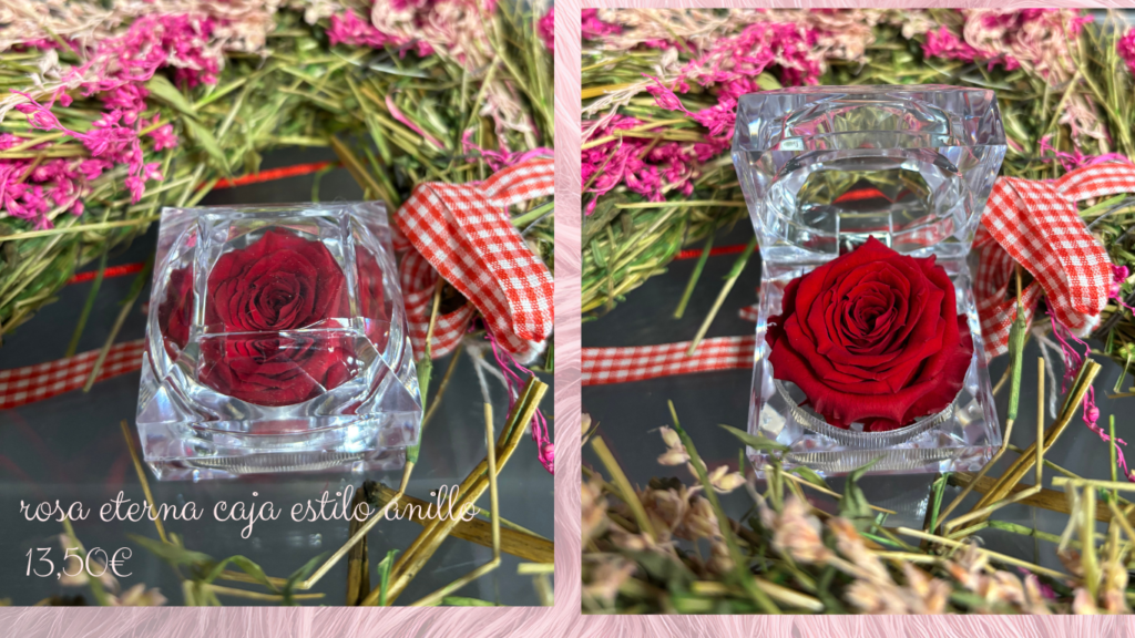 rosas-eternas-casa-anillo-rojas-san-valentin-lleida