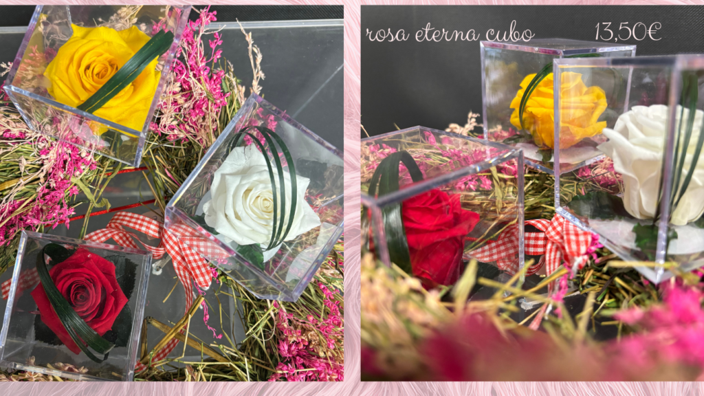 rosa-eternas-liofilizadas.rojas-blancas-amarillas-san-valentin-lleida